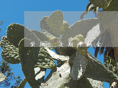 贷款 逾期滞纳金 贷款 逾期滞纳金